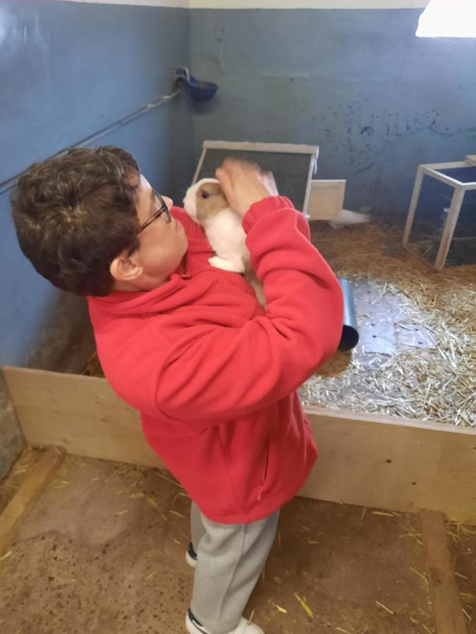 Hoevetoerisme Op 'T Zand Villa Pelt Luaran gambar